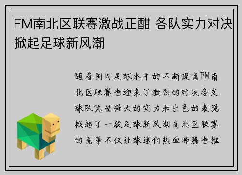 FM南北区联赛激战正酣 各队实力对决掀起足球新风潮