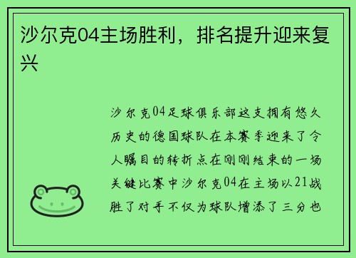 沙尔克04主场胜利，排名提升迎来复兴