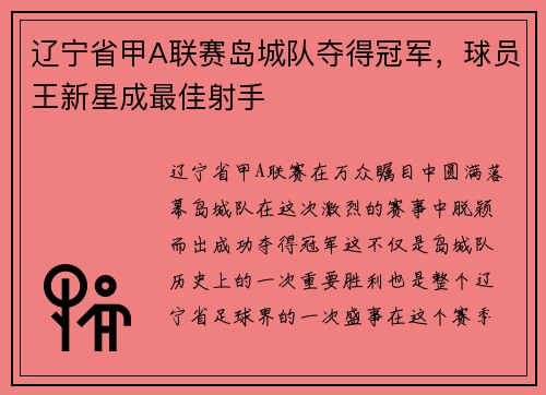 辽宁省甲A联赛岛城队夺得冠军，球员王新星成最佳射手